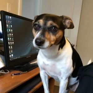 Meet your Posher, Diane